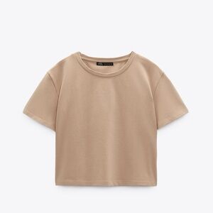 Zara crop t shirt size US S